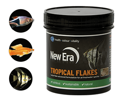 New era tropical flakes